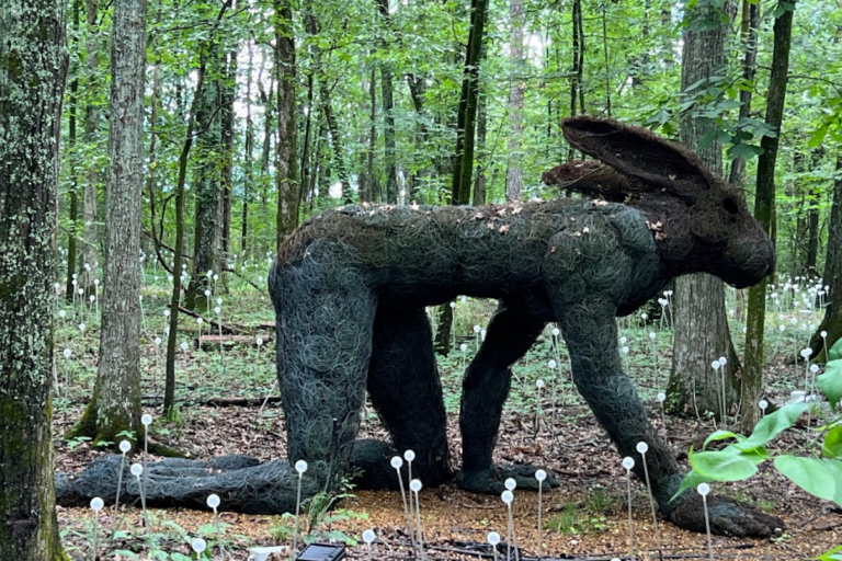 10 Tennessee Places That Feel Like Stepping Into the Pages of a Famous Book
