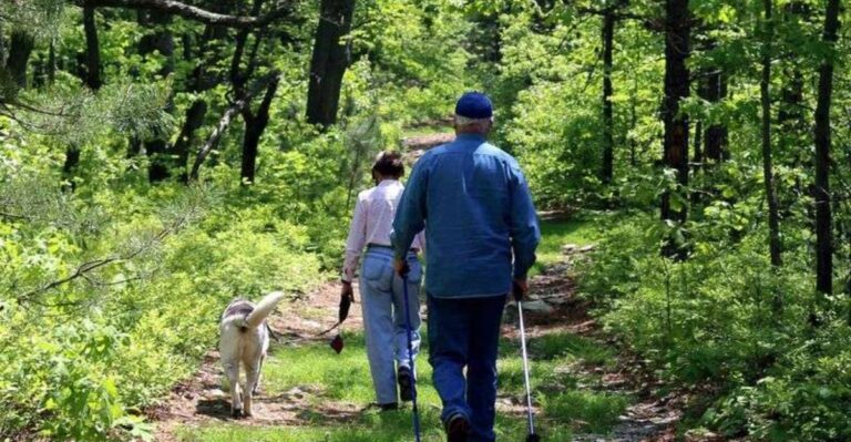 10 Places In Pennsylvania Where Rattlesnakes Could Be Hiding This October
