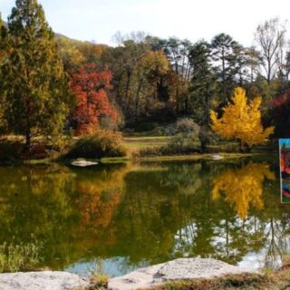 10 Storybook Hikes in Tennessee That Even Seniors Can Enjoy – No Steep Climbs Required