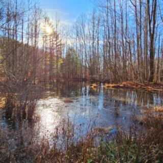 10 Tennessee Destinations That Turn Into Living Paintings Every Fall