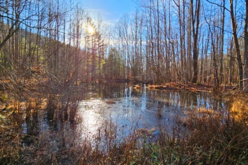 10 Tennessee Destinations That Turn Into Living Paintings Every Fall
