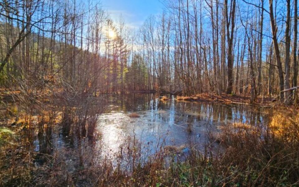 10 Tennessee Destinations That Turn Into Living Paintings Every Fall