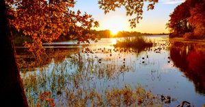 10 Texas Parks That Completely Surprised Us With Their Autumn Foliage