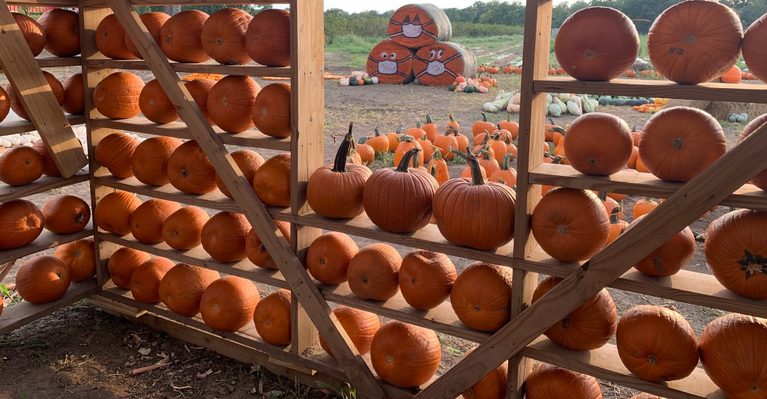 11 Texas Farms Packed With Fresh Fruit, Fall Activities, And Family Fun