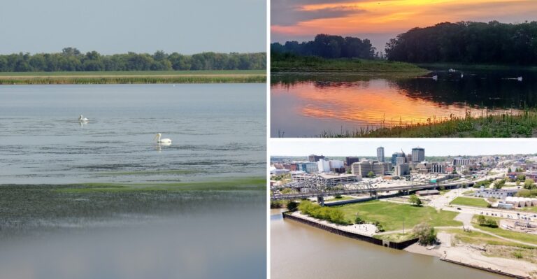 12 Illinois River Spots Where Families Can Watch For Giant White Pelicans This Fall