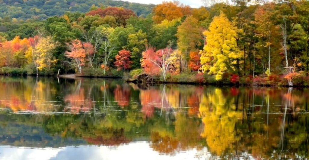 12 New Jersey State Parks That Put On A Spectacular October Show