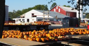 12 Ohio Farm Destinations Filled With Classic October Fun