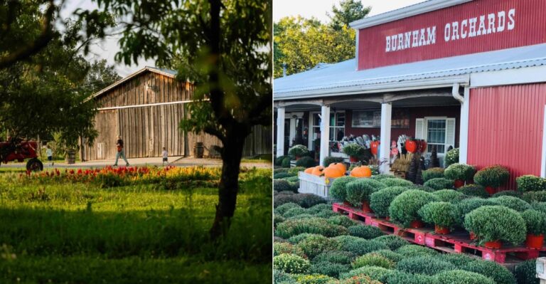 12 Ohio Farm Markets Worth Visiting For Fresh-Baked October Treats