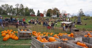 13 Ohio Markets Packed With Fresh Ingredients For Autumn Baking