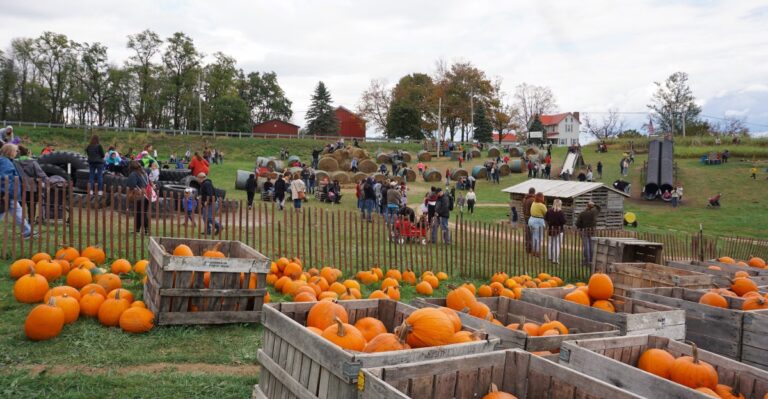 13 Ohio Markets Packed With Fresh Ingredients For Autumn Baking