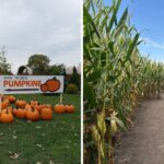 14 Illinois Pumpkin Farms Packed With Corn Mazes, Hayrides And Fall Treats