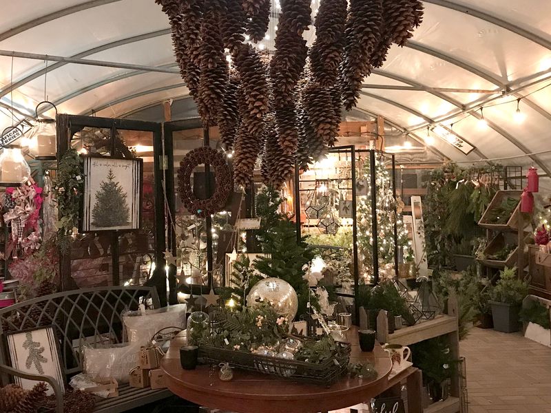 Mums in Fall, Wreaths in Winter