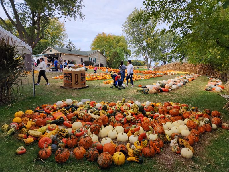 Kroll’s Fall Harvest Farm (Waukegan) Kroll’s Fall Harvest Farm (Waukegan)