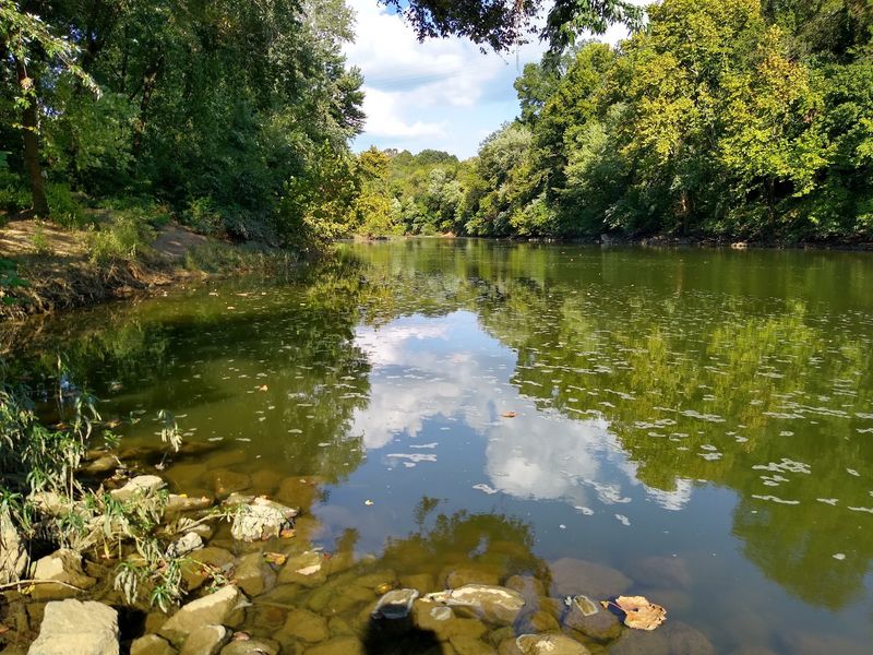 The Duck River Deserves A Slow Afternoon The Duck River Deserves A Slow Afternoon