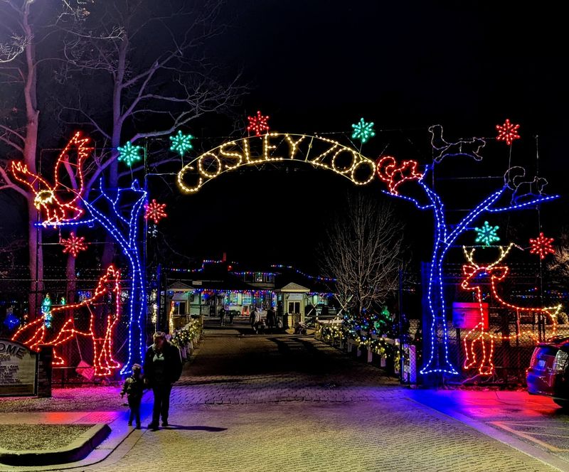 Free Twinkling Lights Make December Feel Downright Magical Free Twinkling Lights Make December Feel Downright Magical