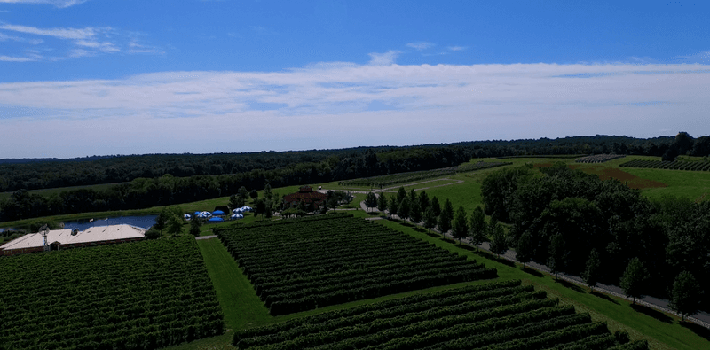 Shawnee Hills Wine Trail Scenic Drive (Southern Illinois) Shawnee Hills Wine Trail Scenic Drive (Southern Illinois)