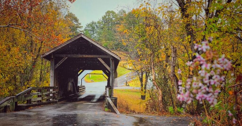 7 Magical Tennessee Trails With Wooden Bridges Straight Out of a Storybook