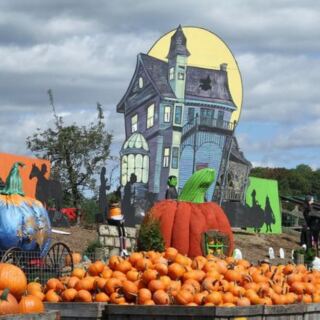 7 Pennsylvania Fall Festivals You Can Enjoy For Free This October