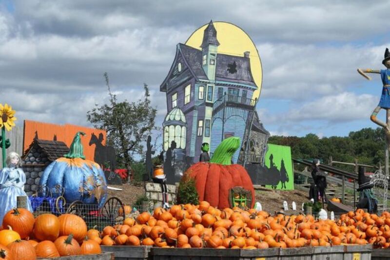 7 Pennsylvania Fall Festivals You Can Enjoy For Free This October