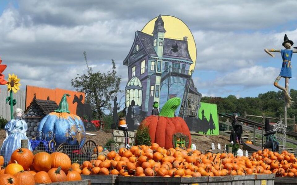 7 Pennsylvania Fall Festivals You Can Enjoy For Free This October