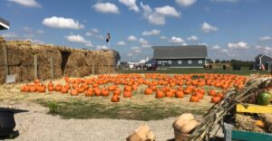 8 Ohio Pumpkin Patches Offering Free Admission This October