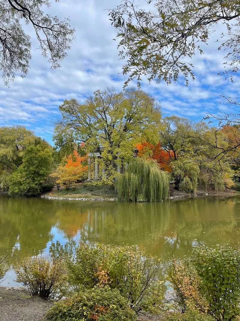 A Peaceful Pond Steals The Spotlight A Peaceful Pond Steals The Spotlight