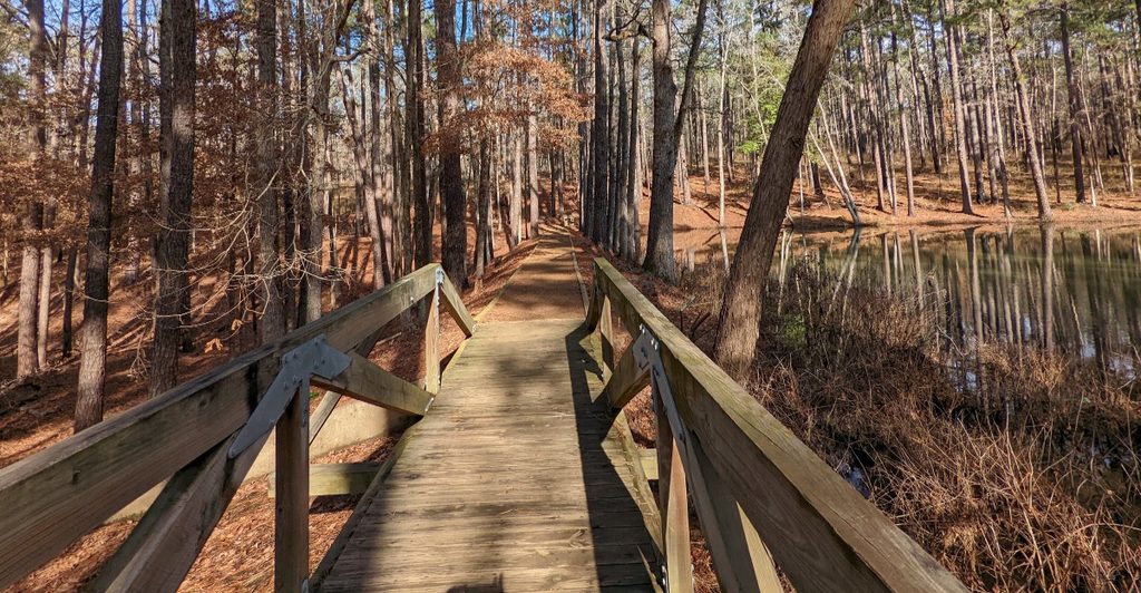 9 Texas Forest Trails That Prove You Don’t Need Mountains For A Magical Fall Escape