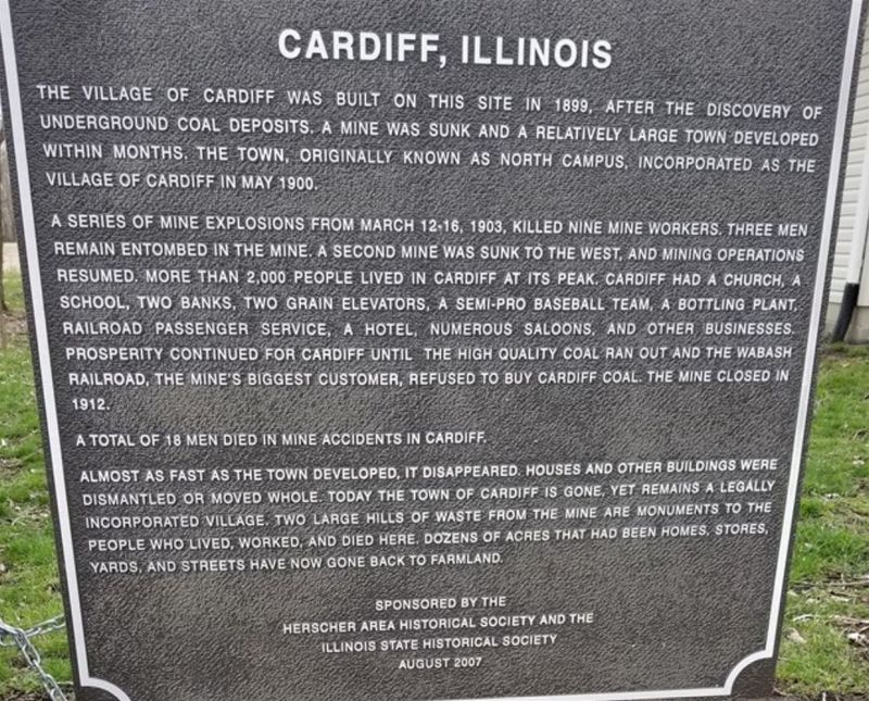 Cardiff Cardiff