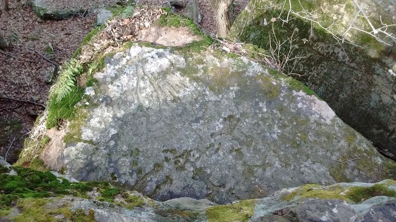 Spotting Faint Petroglyphs on the Sandstone Spotting Faint Petroglyphs on the Sandstone