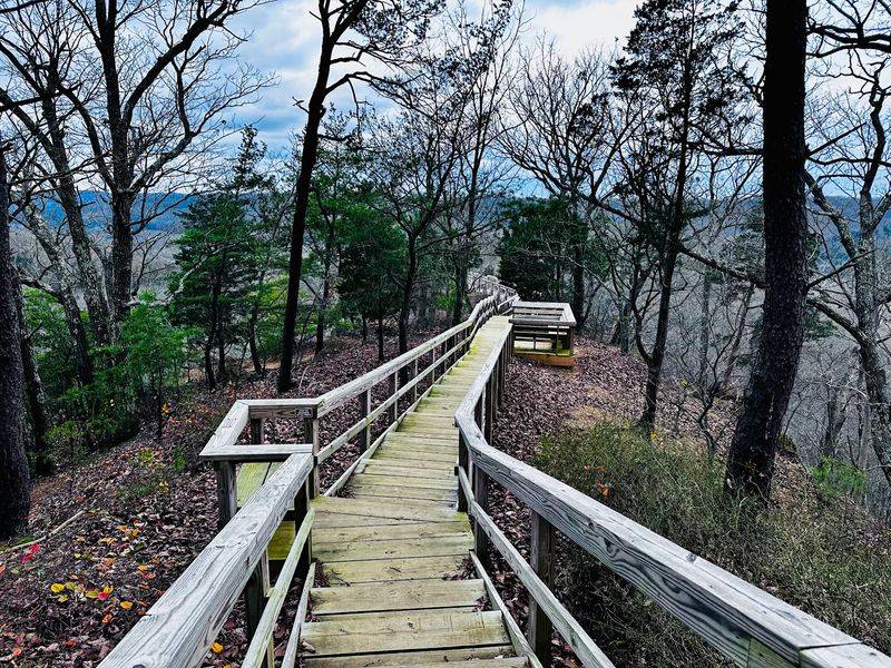 A Boardwalk And Prairie Break Up The Forest In The Best Way A Boardwalk And Prairie Break Up The Forest In The Best Way