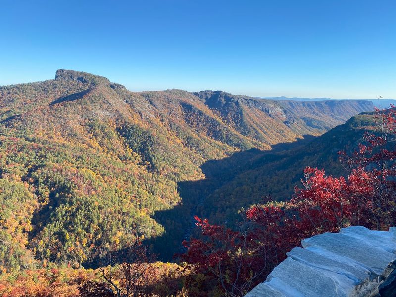 A Canyon Hiding in the Blue Ridge