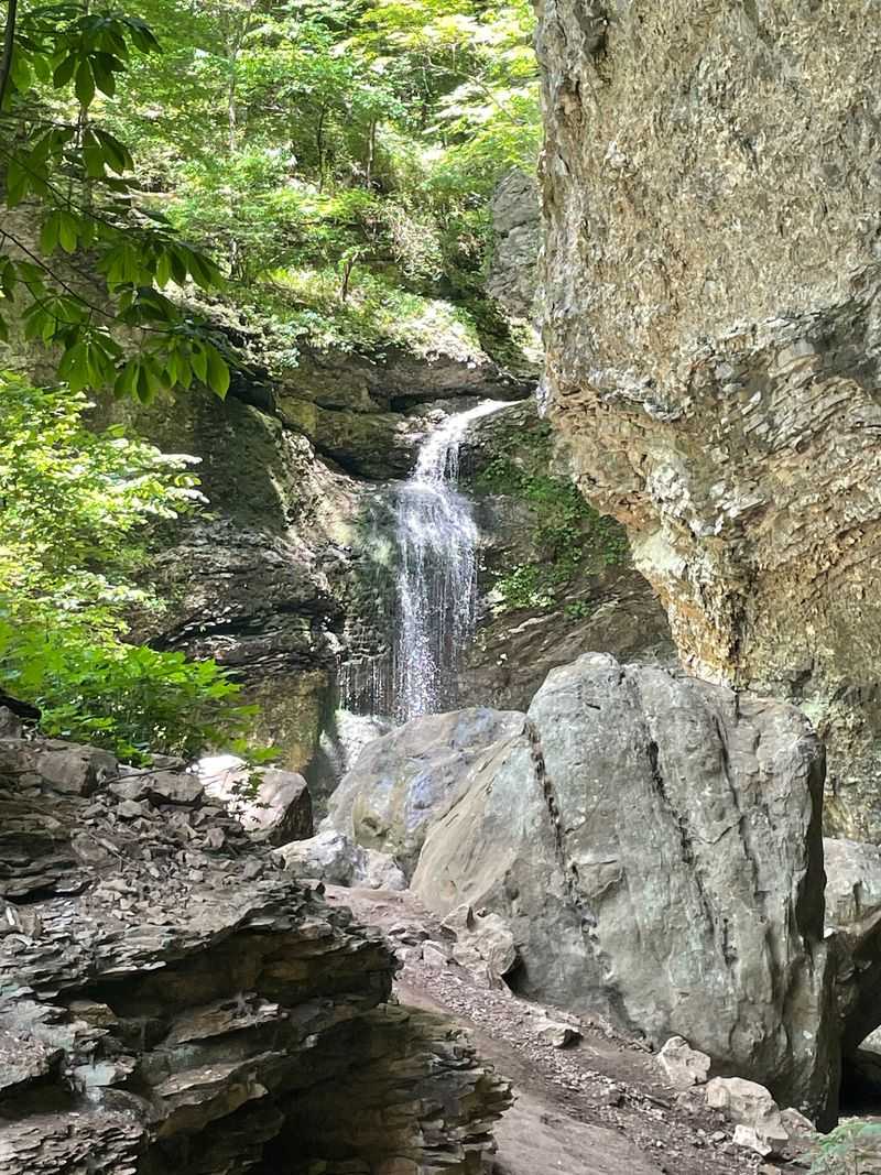 A Canyon Path Near Ponca, Arkansas