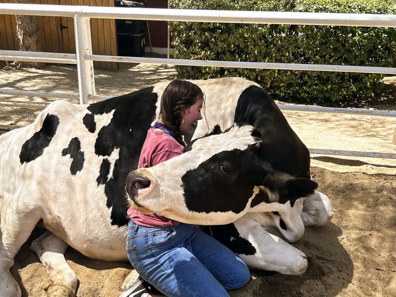 A Childhood Dream Grew Into Six Acres of Second Chances