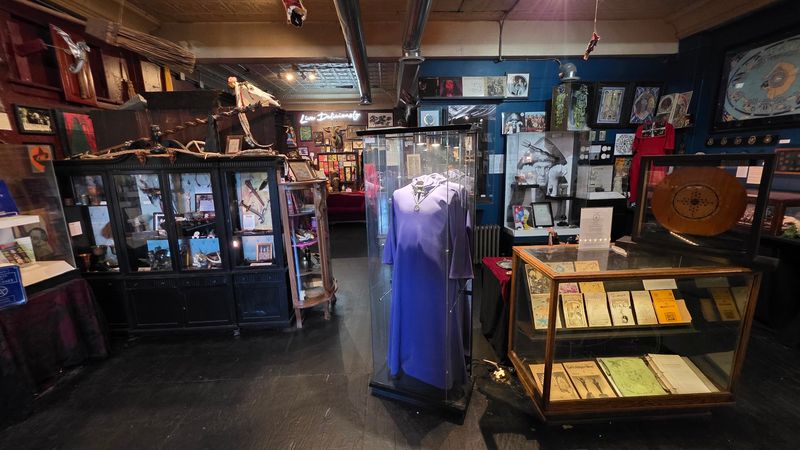 A Collection That Started On Basement Shelves Now Has A Real Home A Collection That Started On Basement Shelves Now Has A Real Home