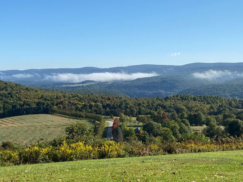 A Country Drive That Sets the Mood A Country Drive That Sets the Mood