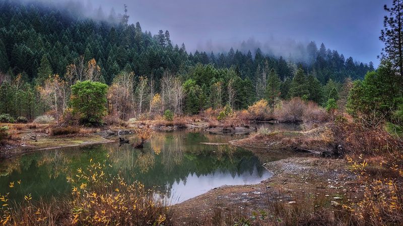 A Creek Landscape With Its Own History A Creek Landscape With Its Own History