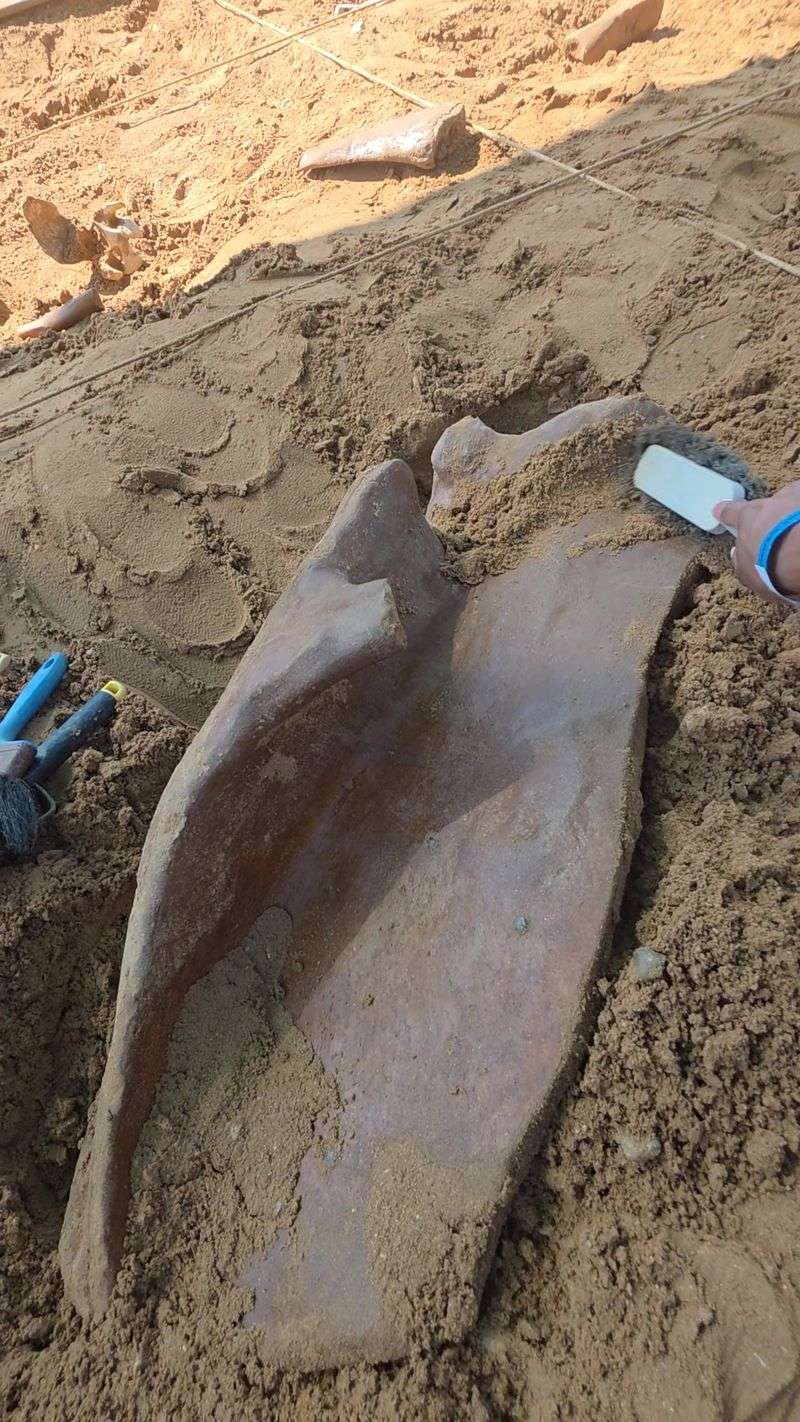 A Dig That Is Still Going A Dig That Is Still Going