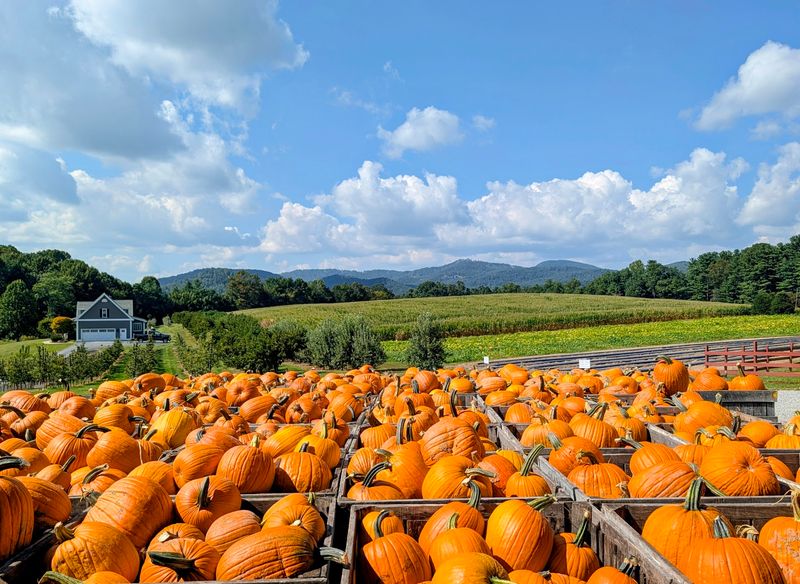 A Family Farm on Chimney Rock Road