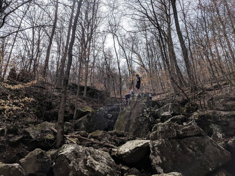 A Family Outing With Room to Roam