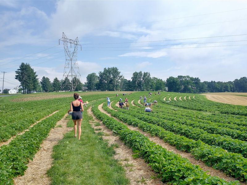 A Farm Outing to Make Your Own A Farm Outing to Make Your Own
