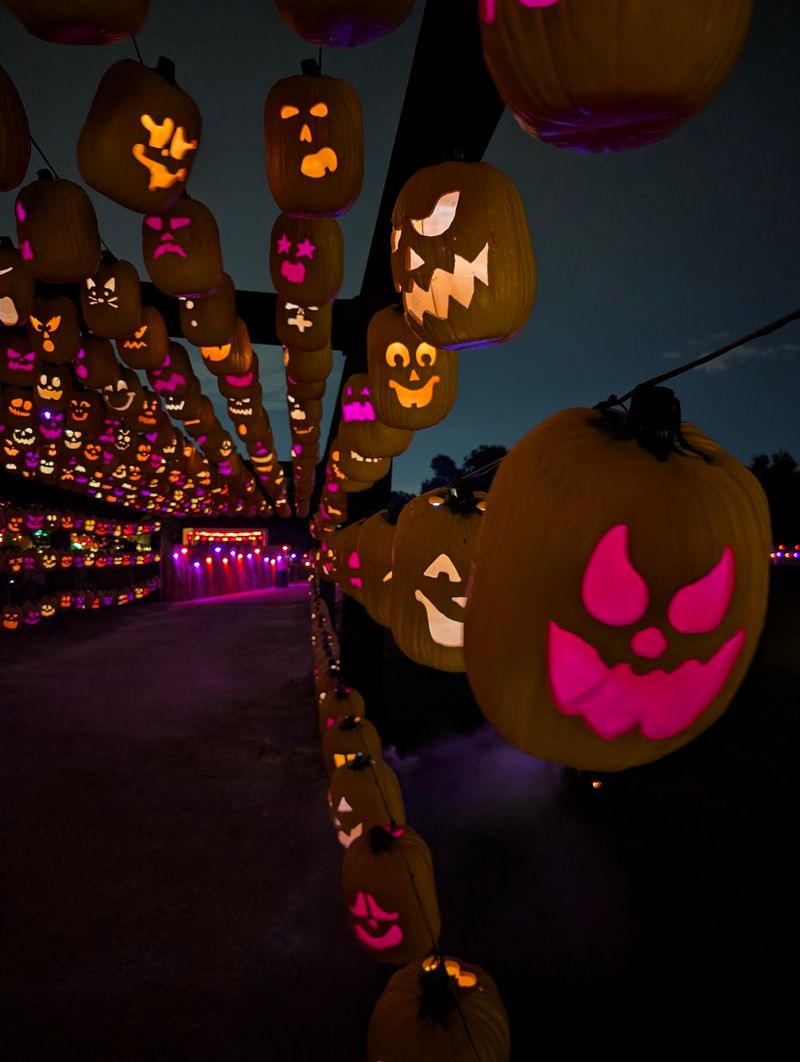 A Farm That Swaps Hay Bales For Glowing Grins Every Fall A Farm That Swaps Hay Bales For Glowing Grins Every Fall