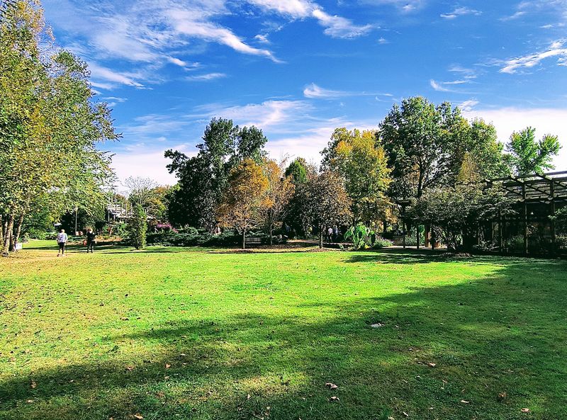A Garden Built Around a Big Green Lawn