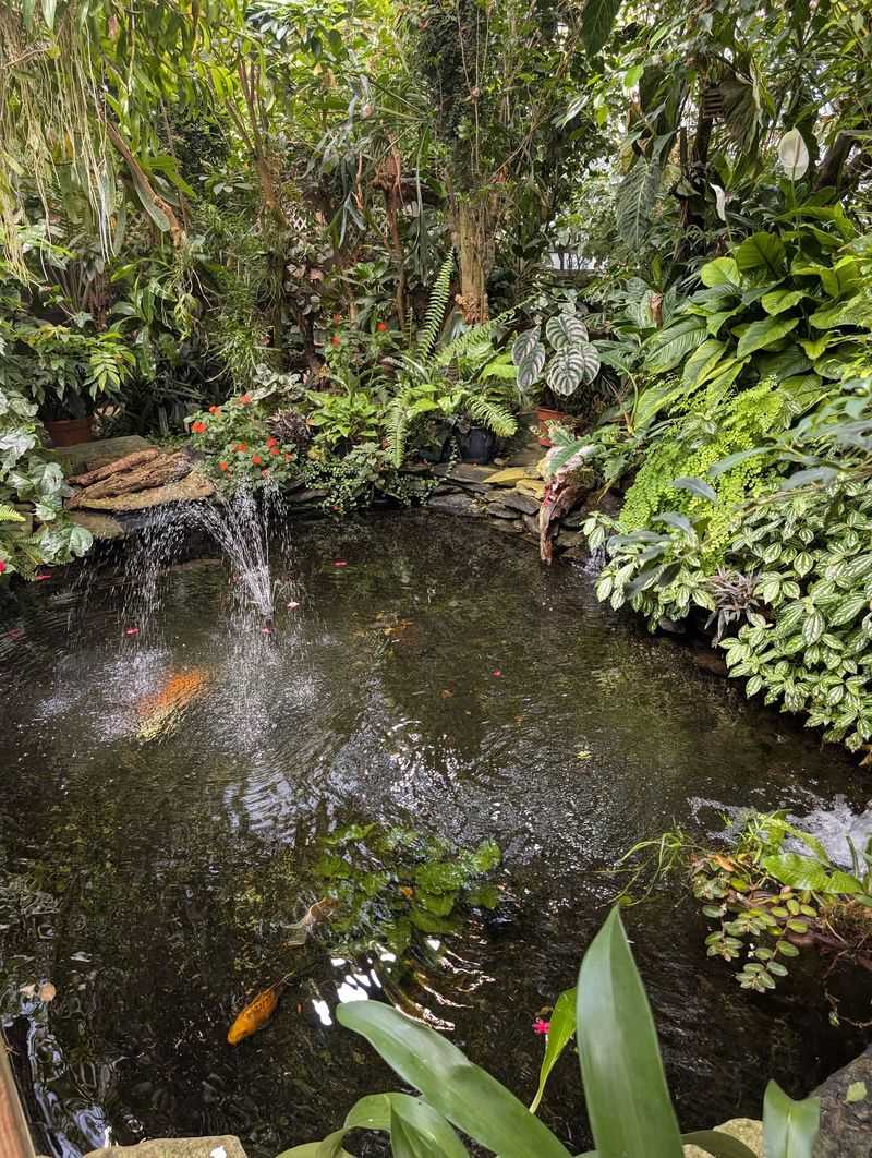 A Heart-Shaped Pond Steals The Quiet Moments