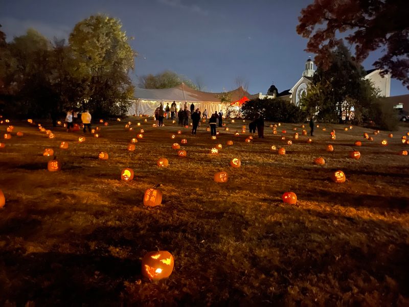 A Hillside Of Glowing Faces You Have To See In Person