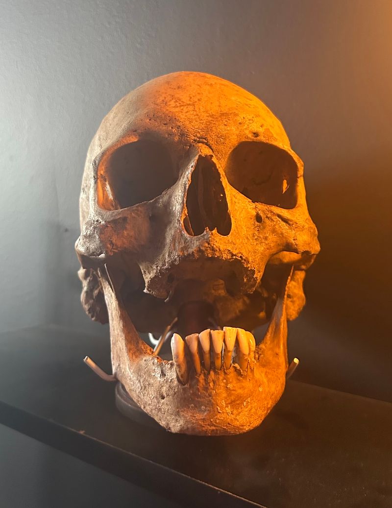 A Horror Collector Built This Spooky Spot From The Ground Up A Horror Collector Built This Spooky Spot From The Ground Up