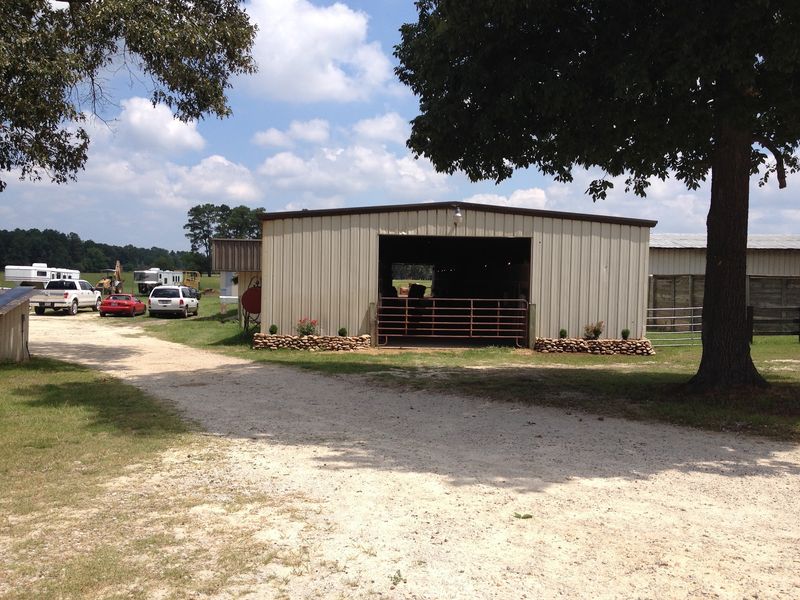 A Horse Farm Hiding in Hope Mills