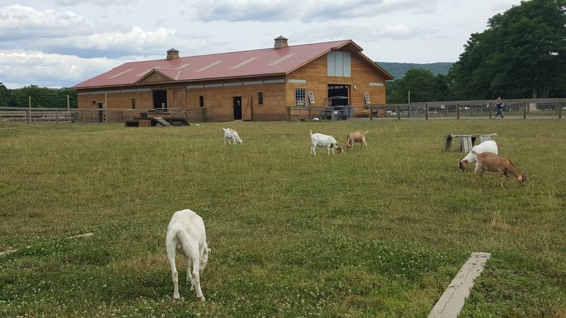 A Hudson Valley Home Called Rescue Road