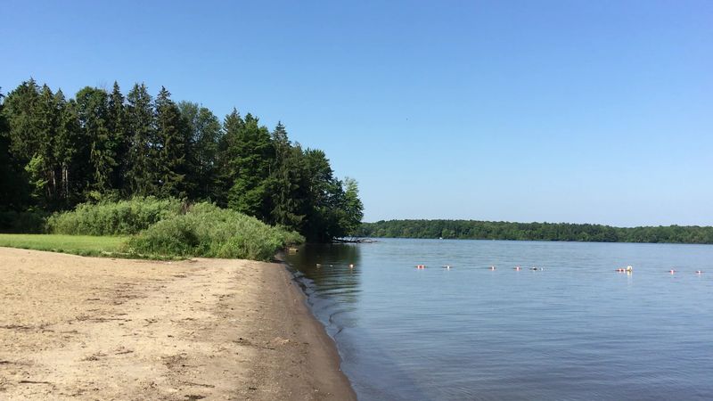 A Huge Lake Offers Plenty of Snake Habitat