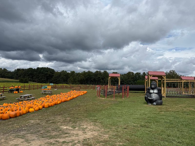 A Kid Zone Worth Bragging About