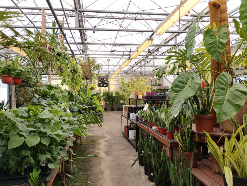 A Little Slice of Plant Paradise in the Heart of Nashville A Little Slice of Plant Paradise in the Heart of Nashville